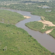 The Rufji river plays a vital role in the greater Selous Eco System