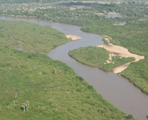 The Rufji river plays a vital role in the greater Selous Eco System