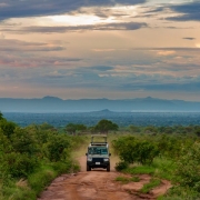 A 4x4 Safari car with elevated roof during a game drive