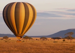 Enjoy the Serengeti from a different angle with our unique Hot Air Balloon Adventure