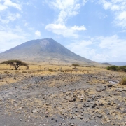 A photo of the harsh but beautiful enviroment of Lake Natron