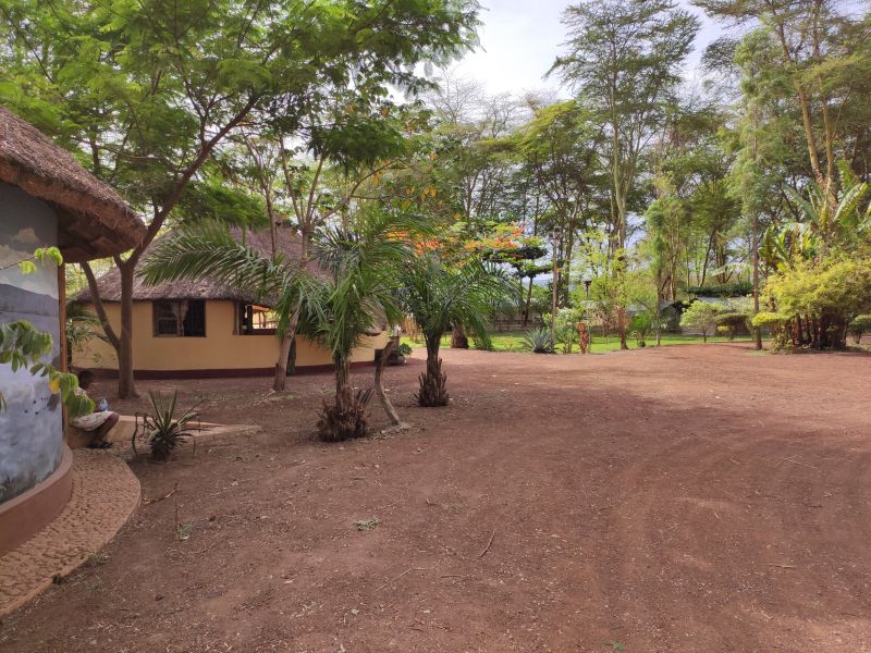 The reception area of the Africa Safari Lake Manyara Lodge