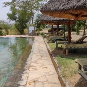 The pool area with sun loungers