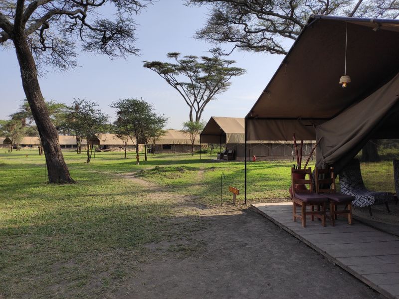 A view of the Safari Comfort Tents in Africa Safari South Serengeti Lodge