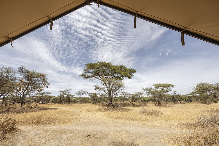 The view from your private veranda in Africa Safari South Serengeti